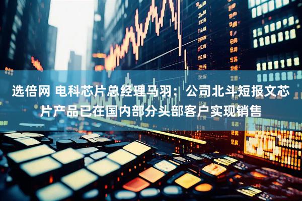 选倍网 电科芯片总经理马羽：公司北斗短报文芯片产品已在国内部分头部客户实现销售