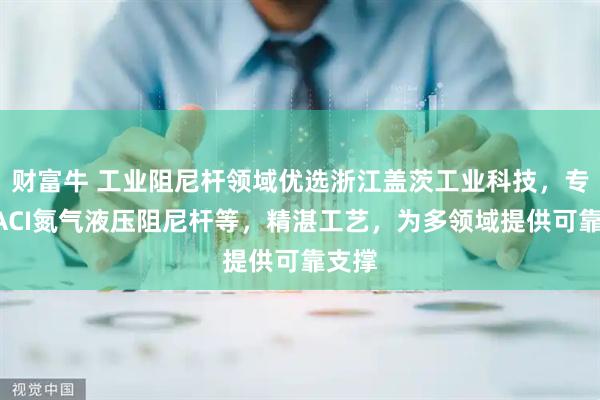 财富牛 工业阻尼杆领域优选浙江盖茨工业科技，专注GACI氮气液压阻尼杆等，精湛工艺，为多领域提供可靠支撑